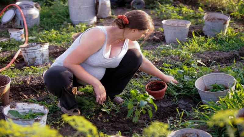 pregnant woman gardening