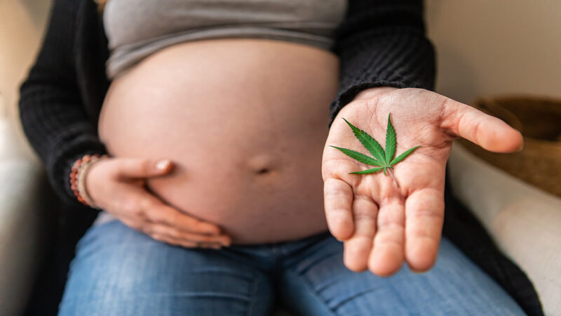 Is Use Of Marijuana Safe During Pregnancy_