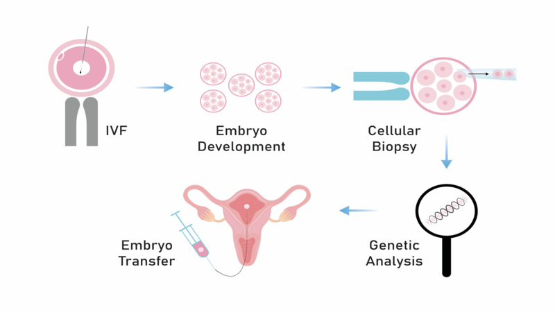 PGD or PGS for infertility