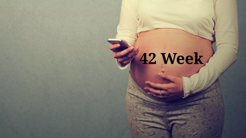 week 42 of pregnancy