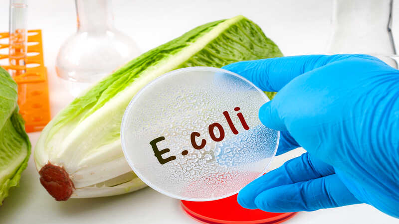 E coli