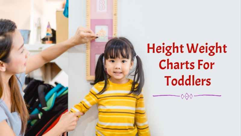 Height Weight Charts For Toddlers