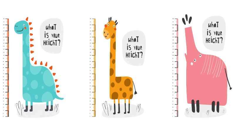 height measurement, centimeter, chart